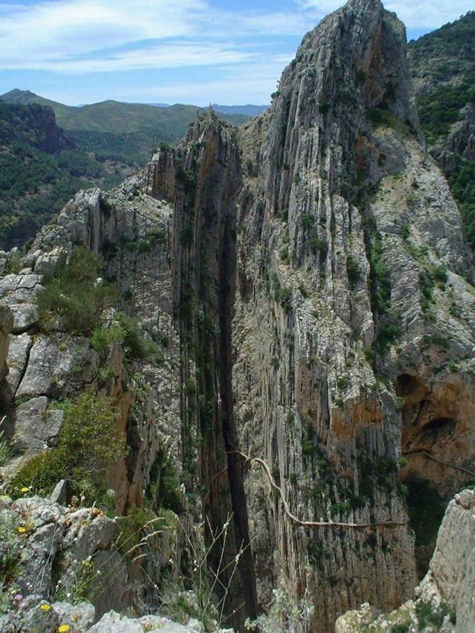 Casa Rural La Teja Ель-Чорро Екстер'єр фото